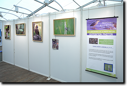 Stand Festival de l'Oiseau 2013