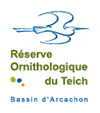 Réserve ornithologique du Teich